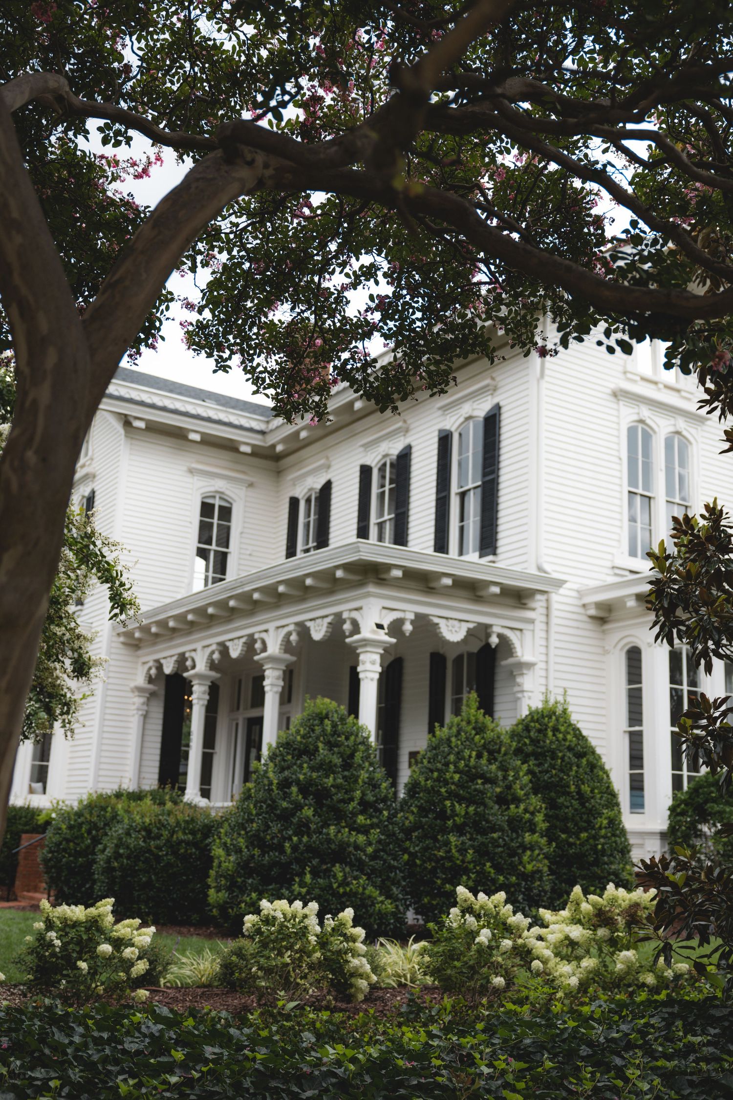 White antebellum two-story home with black shutters, ornate columns, lush shrubs, and magnolia trees in foreground.