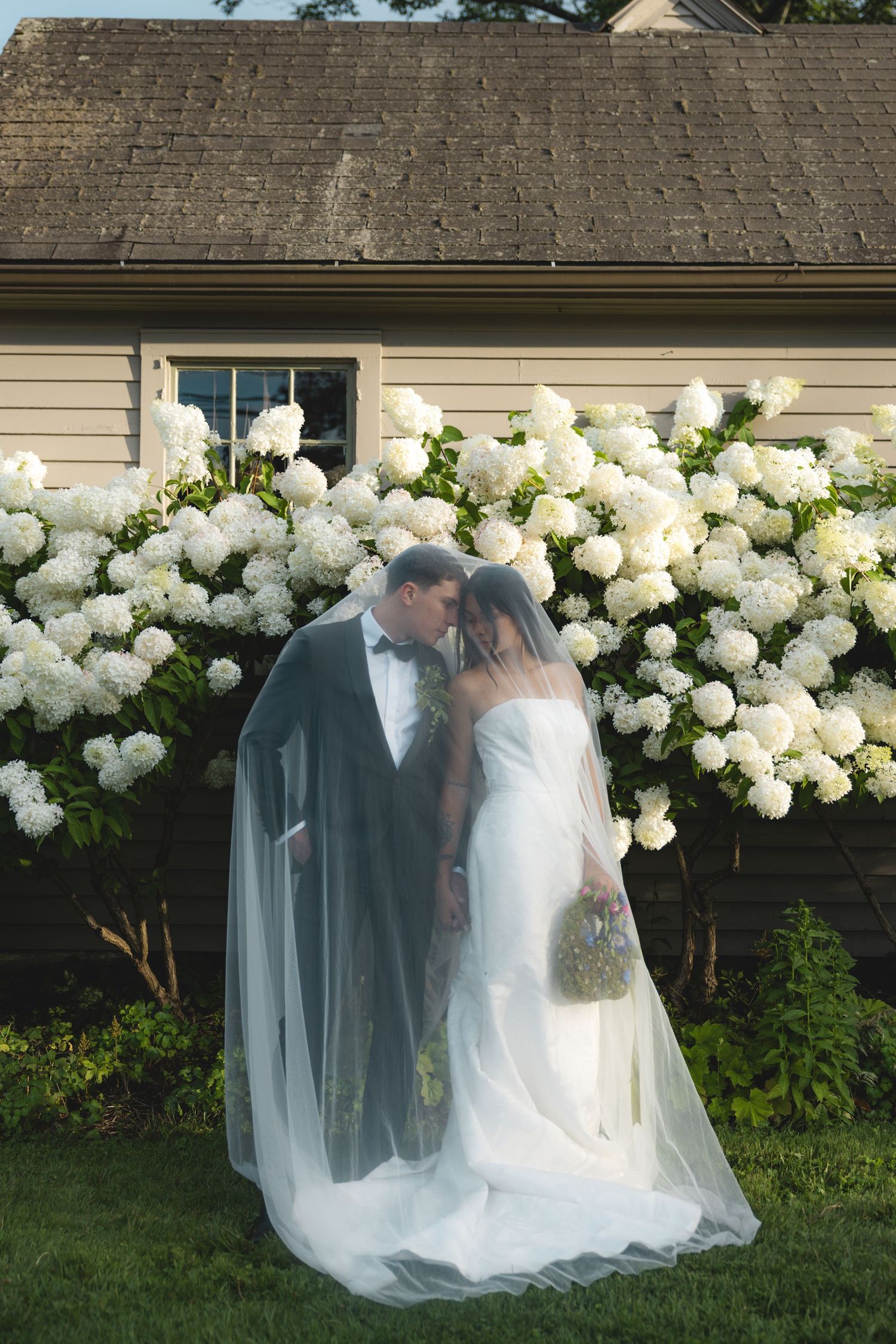 Bride and groom share a kiss under a flowing veil in front of white hydrangea bushes at an outdoor wedding.