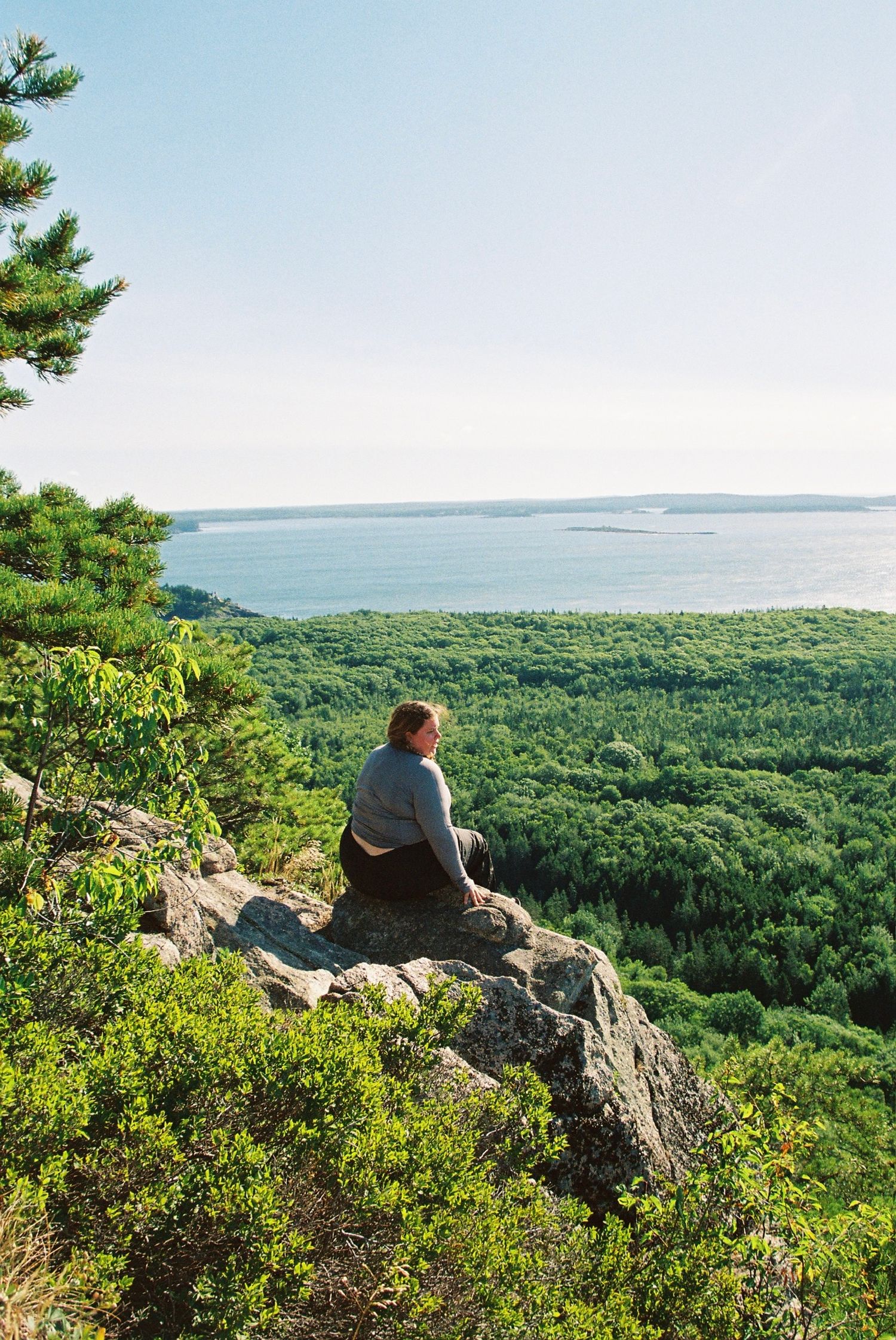 Person sitting on rocky overlook surrounded by pine trees with panoramic view of green forest and blue ocean beyond.