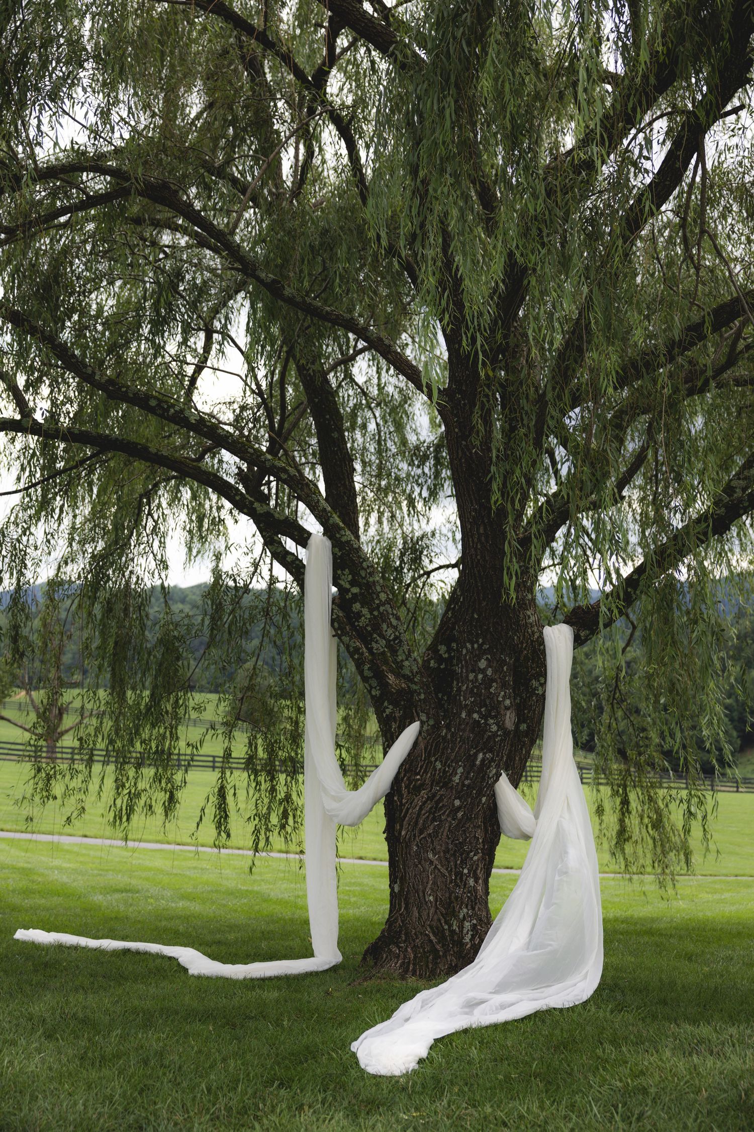 White fabric draped elegantly around a weeping willow tree on a lush green lawn with scenic countryside views.