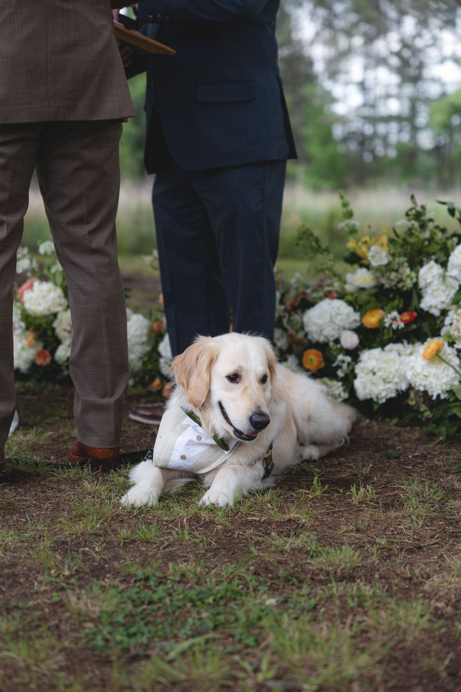 Golden retriever dog wearing white bandana lies at feet of wedding party during outdoor ceremony.