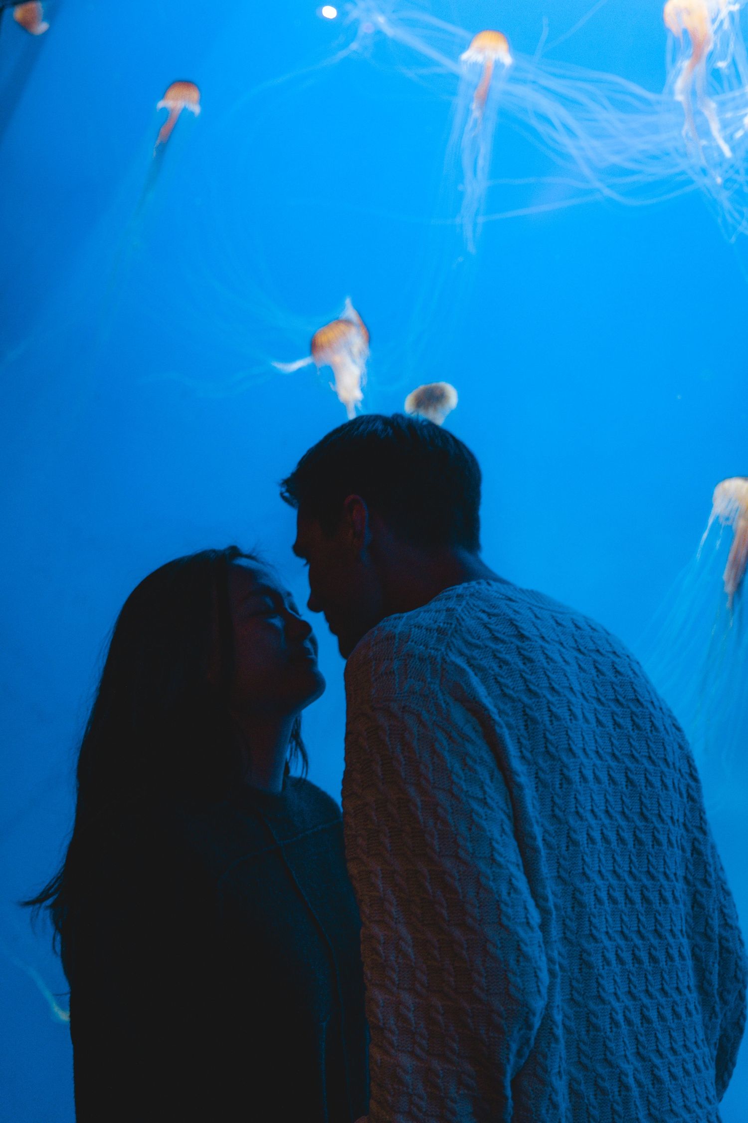 Silhouettes against blue aquarium tank with jellyfish floating in the background.