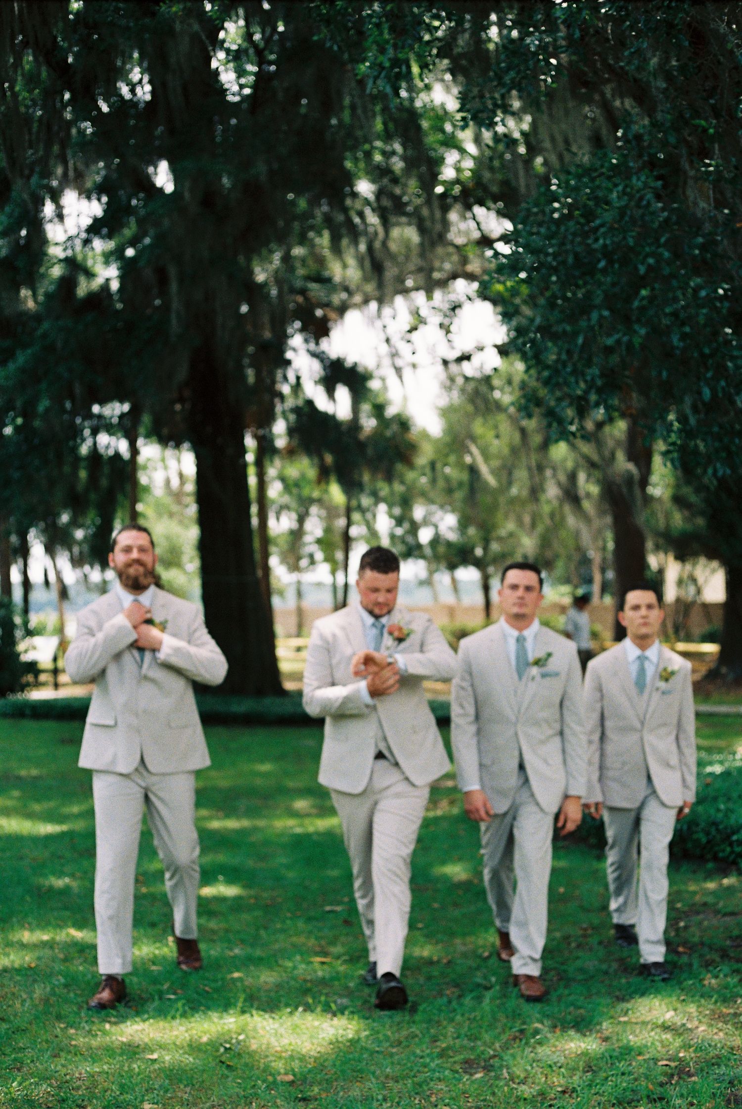 Four groomsmen in light gray suits walk outdoors among moss-draped trees on a sunny wedding day.