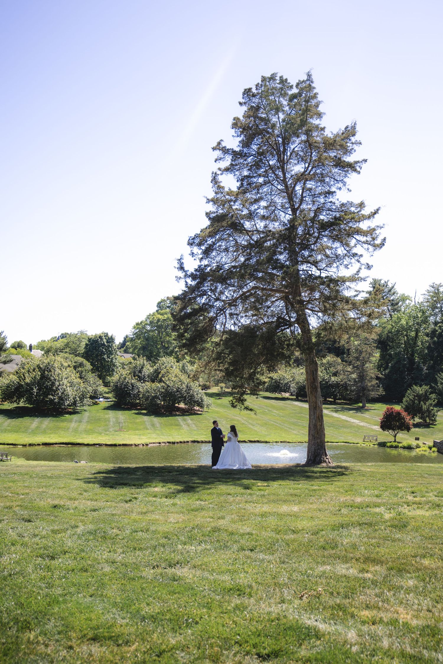 Bride and groom holding hands near a serene pond under a tall tree in a lush green park on a sunny day.