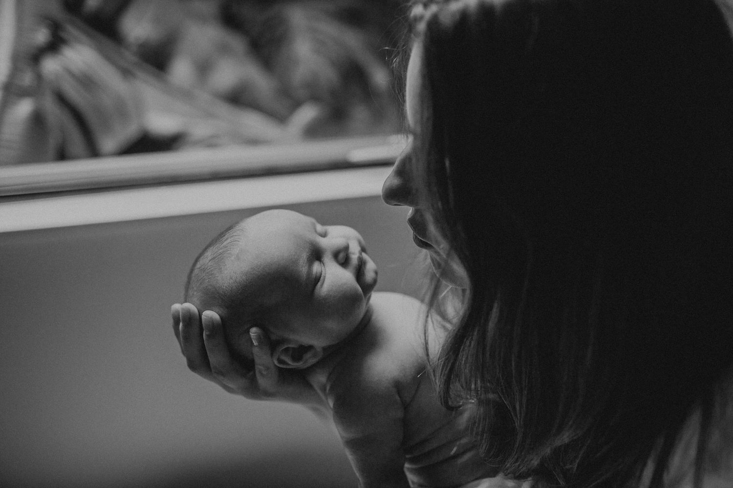 Auckland Family Photographer 17