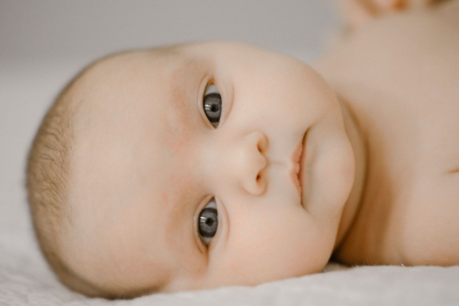 Auckland Family Photographer 19