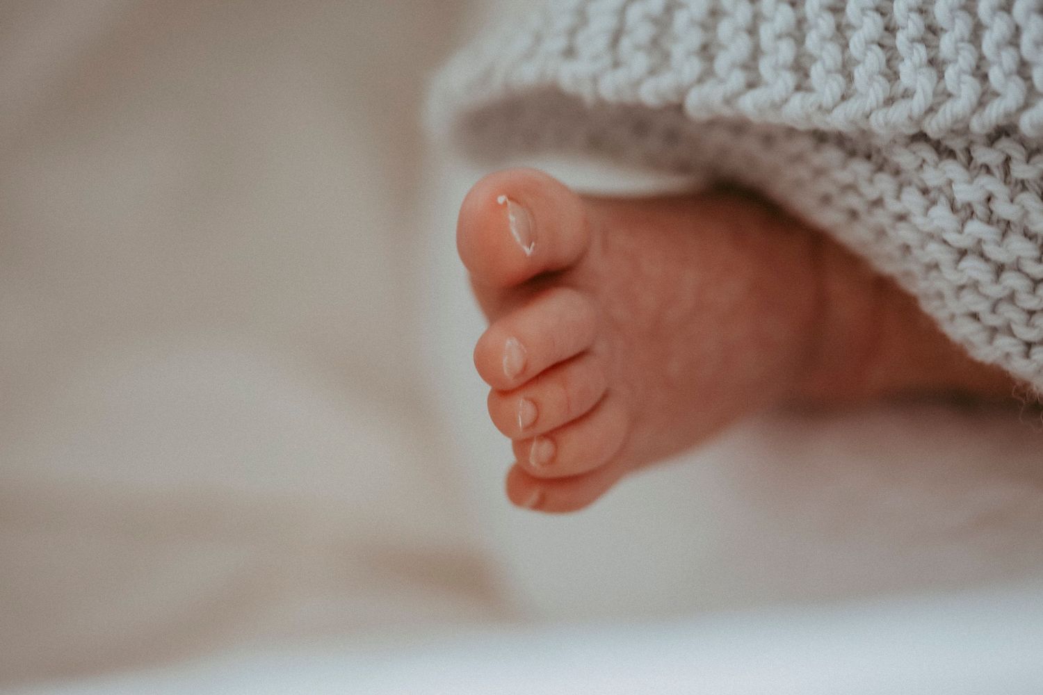 Auckland Family Photographer 24