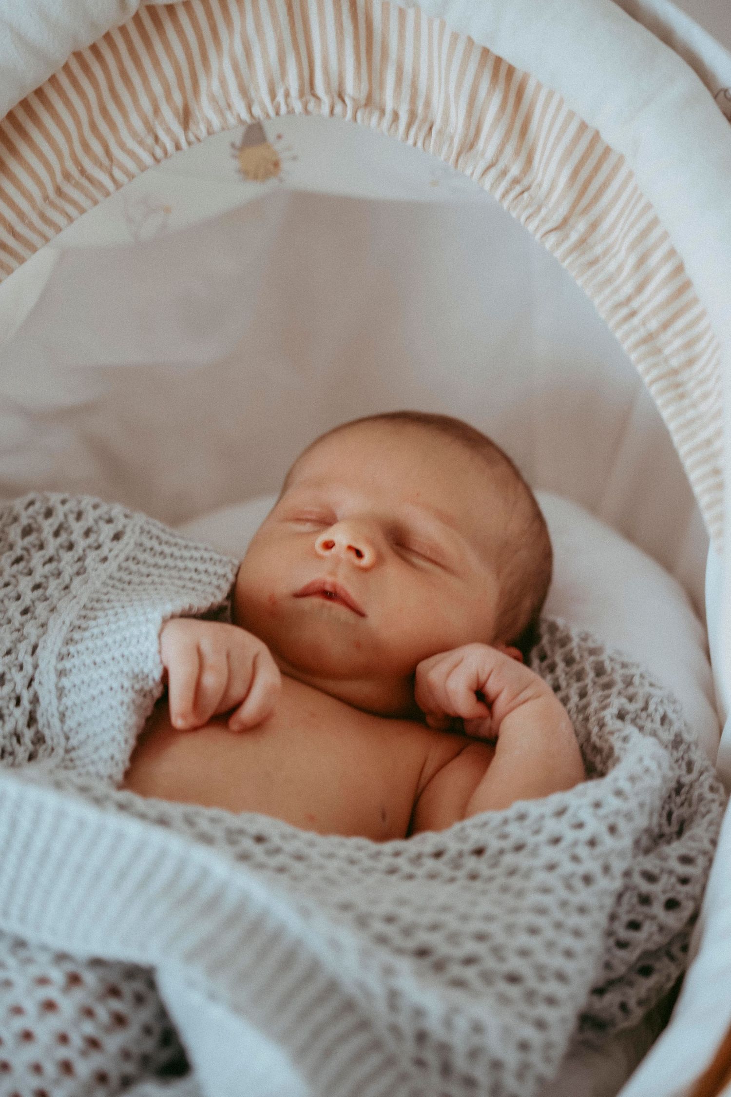 Auckland Family Photographer 25