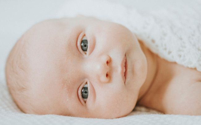 Family Portrait Photography - Auckland 72
