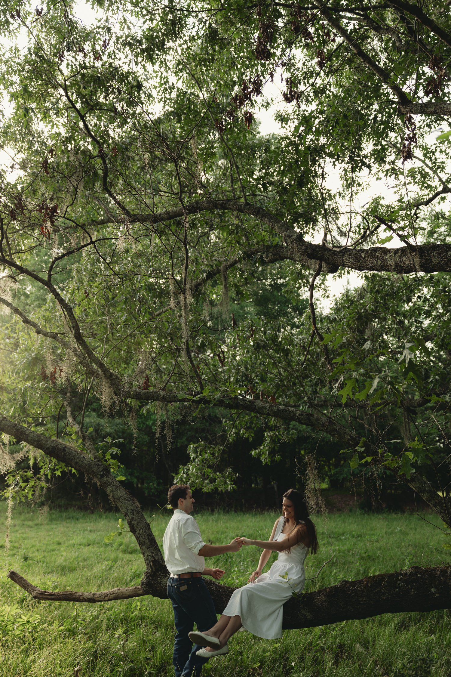 Couple sitting on a large tree branch in a lush green meadow, holding hands in a romantic outdoor setting.