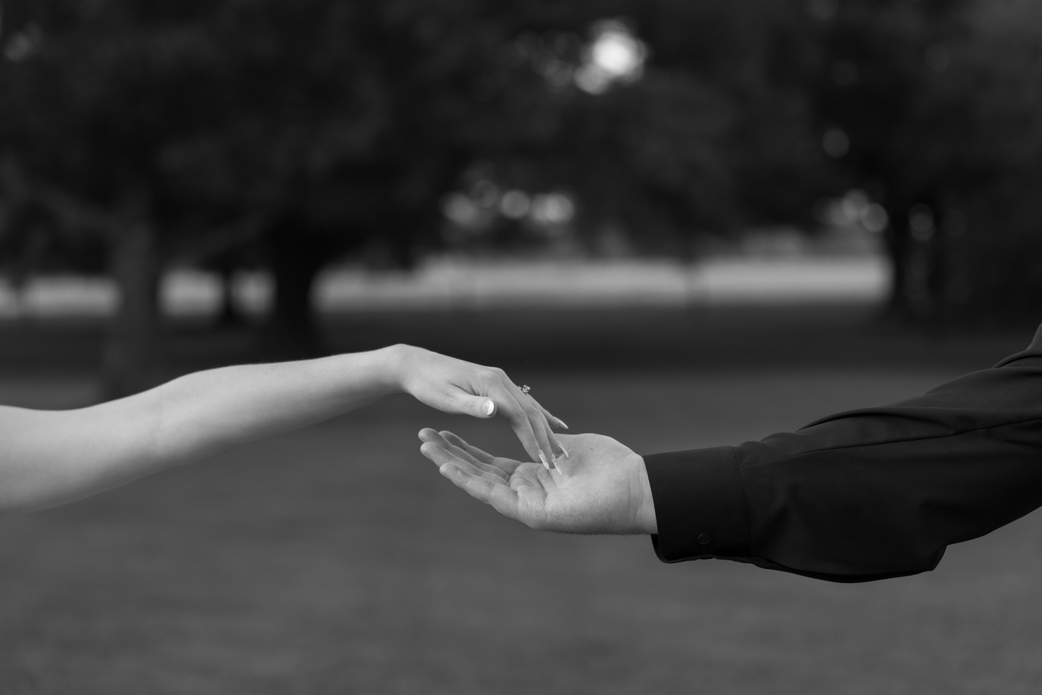 Black and white photo of two hands reaching toward each other in a park, symbolizing connection and romance.