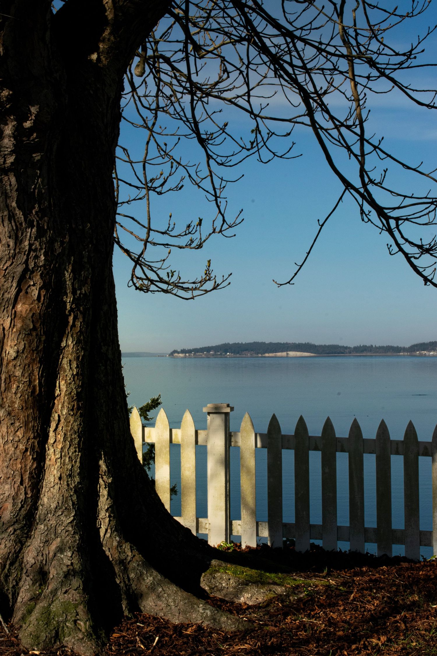 Port Gamble, March 31, 2026