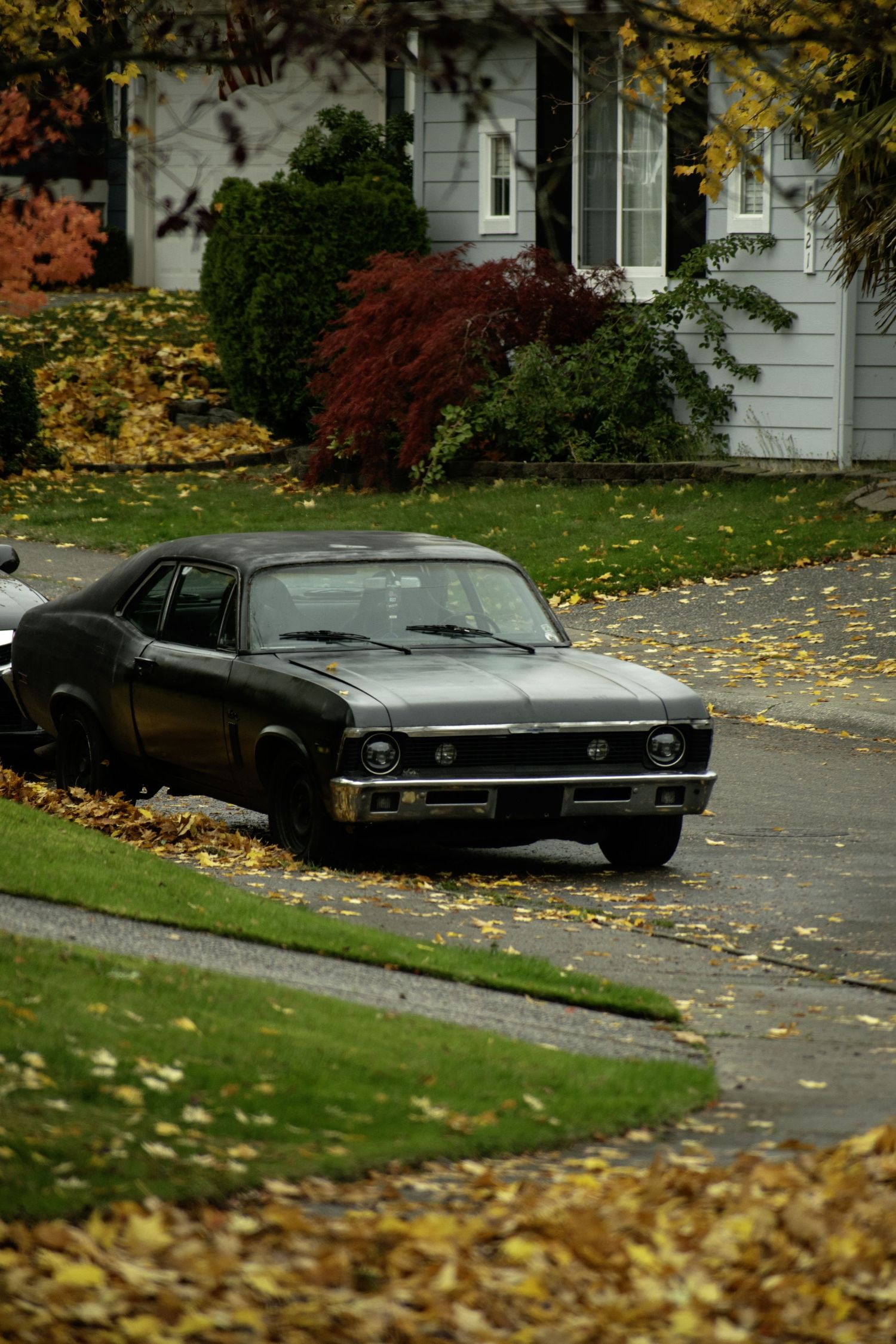 Cathcart, Snohomish, Washington, October 21, 2025