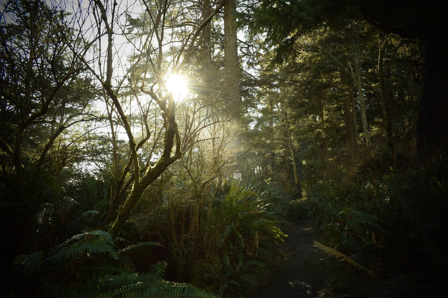 Cape Disappointment, Ilwaco, Washington, March 8, 2019