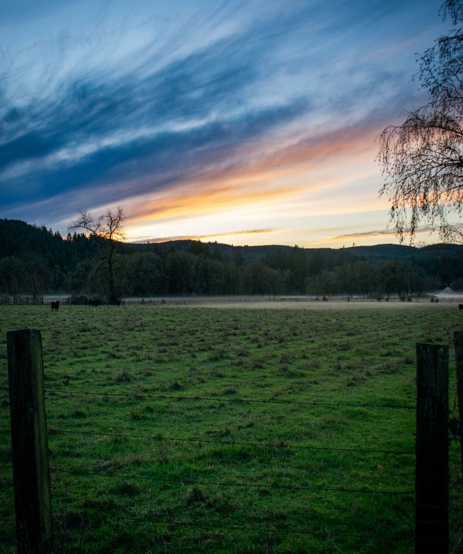 Sweet Home, Oregon, December 24, 2025