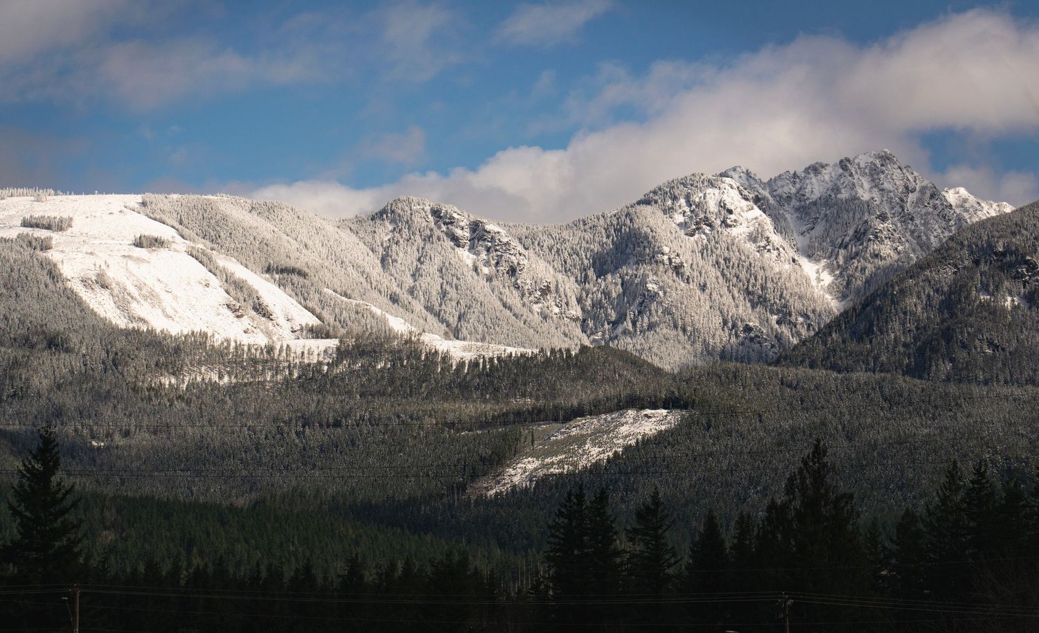 Haystack Hill, Sultan, Washington, March 10, 2026