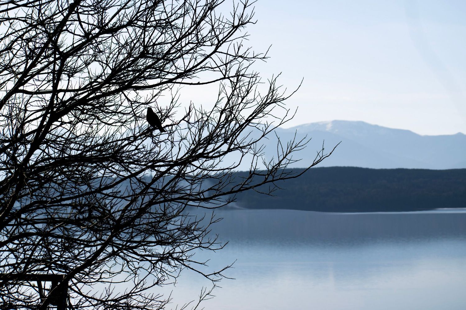 Squamish Harbor, Poulsbo, Washington, March 31, 2026