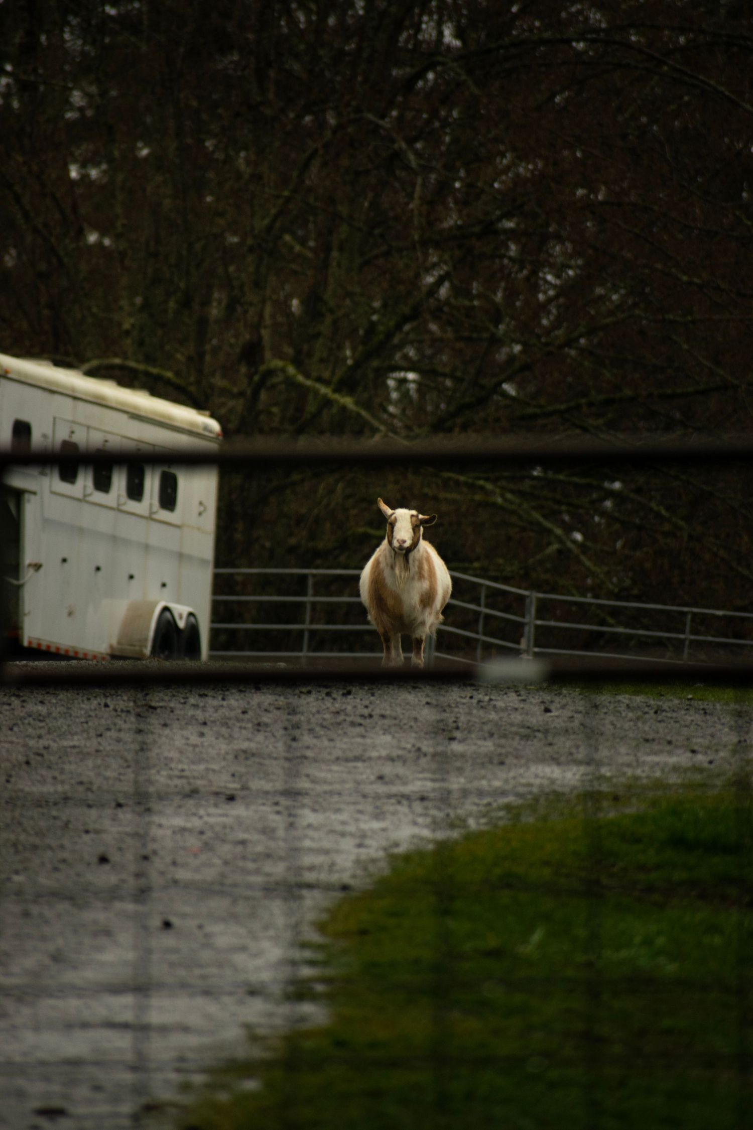 Sultan Basin Road, Sultan, Washington, March 30, 2026