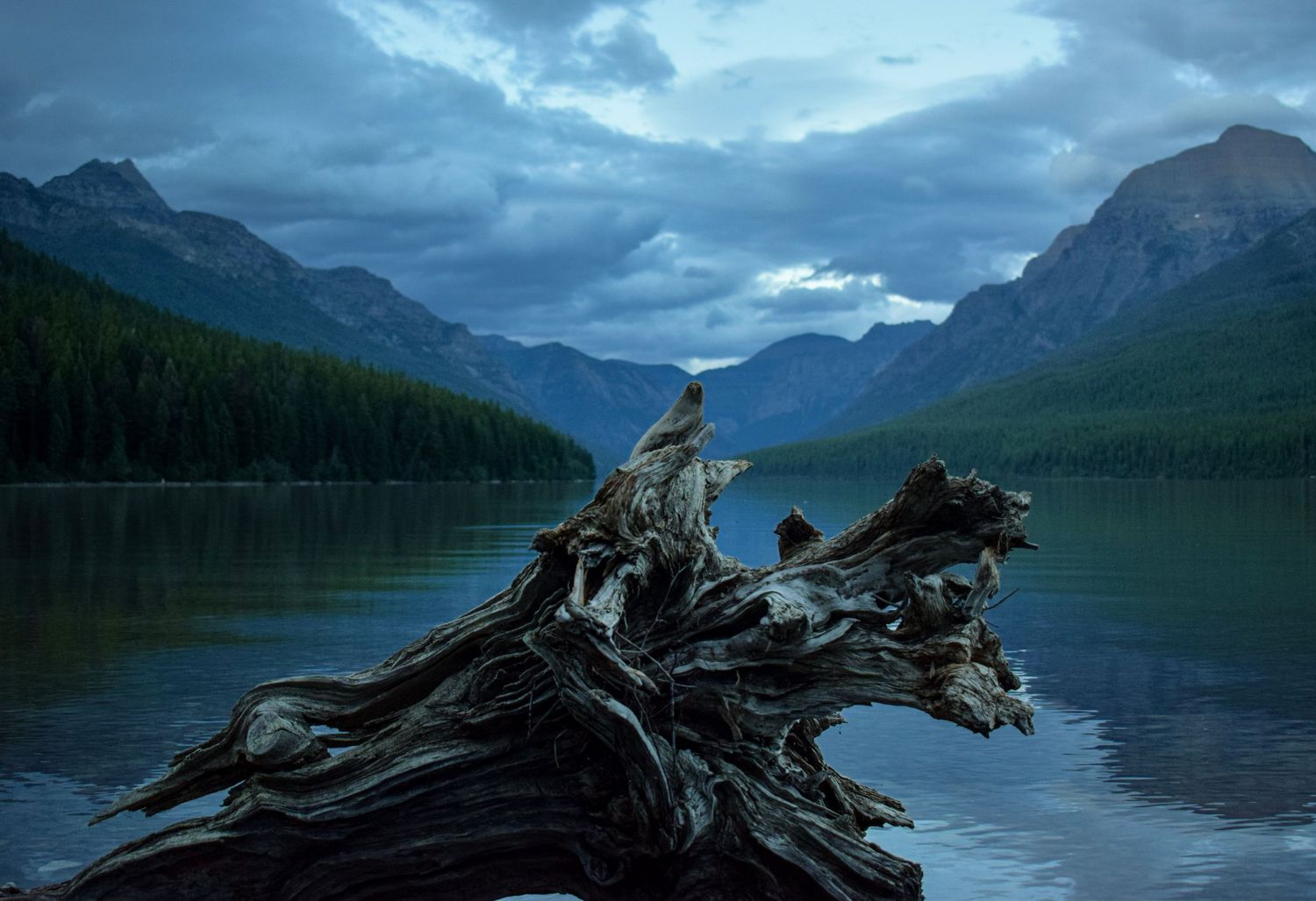 Bowman Lake, Glacier Nat'l Park, Montana, August 24, 2024