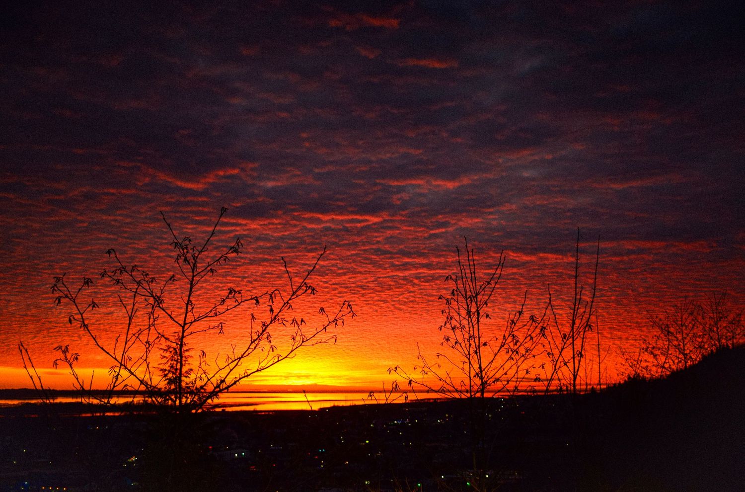 Aberdeen, Washington, January 30, 2019