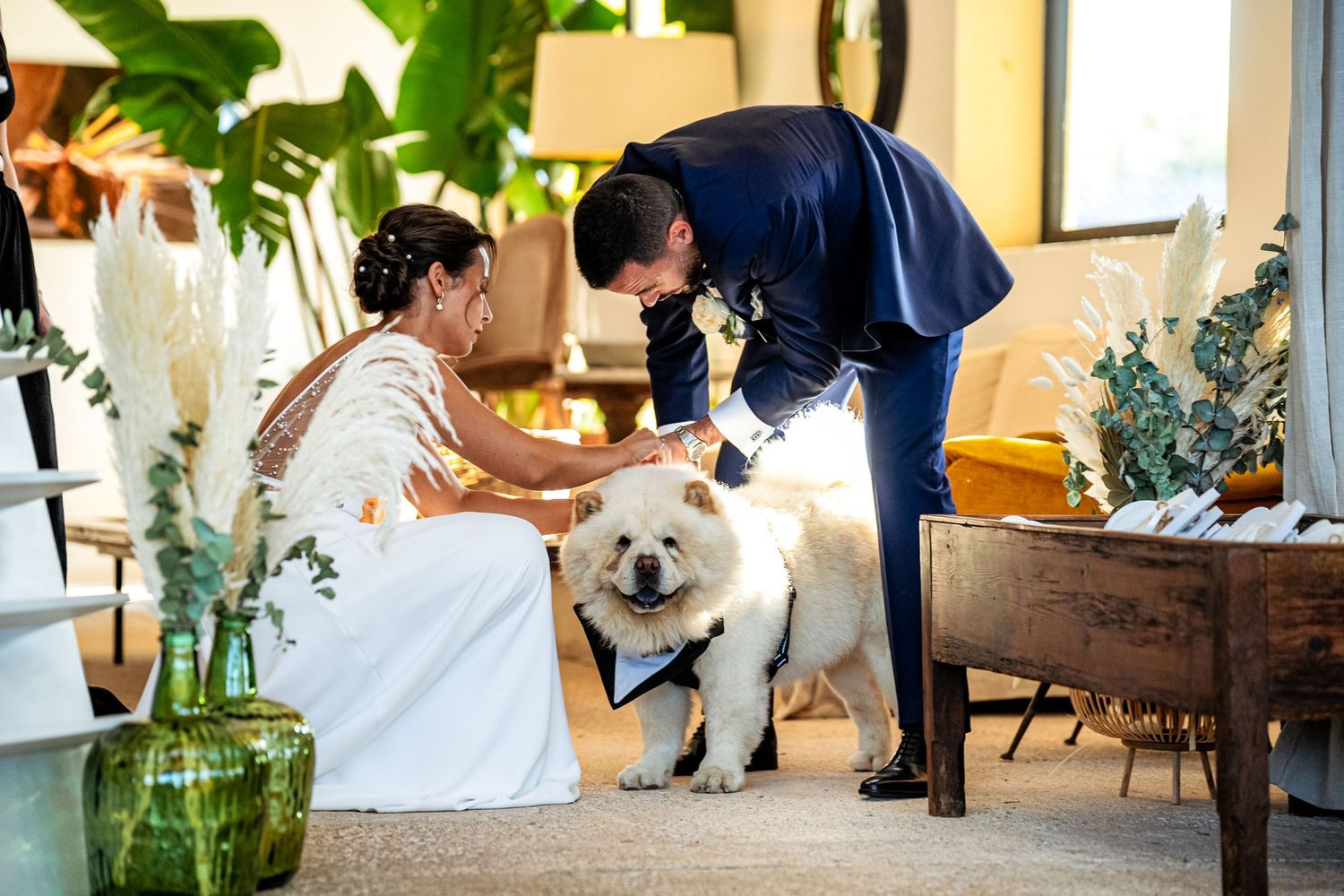 Bride and groom lovingly petting a fluffy Chow Chow dog dressed in a blue bandana at their wedding.