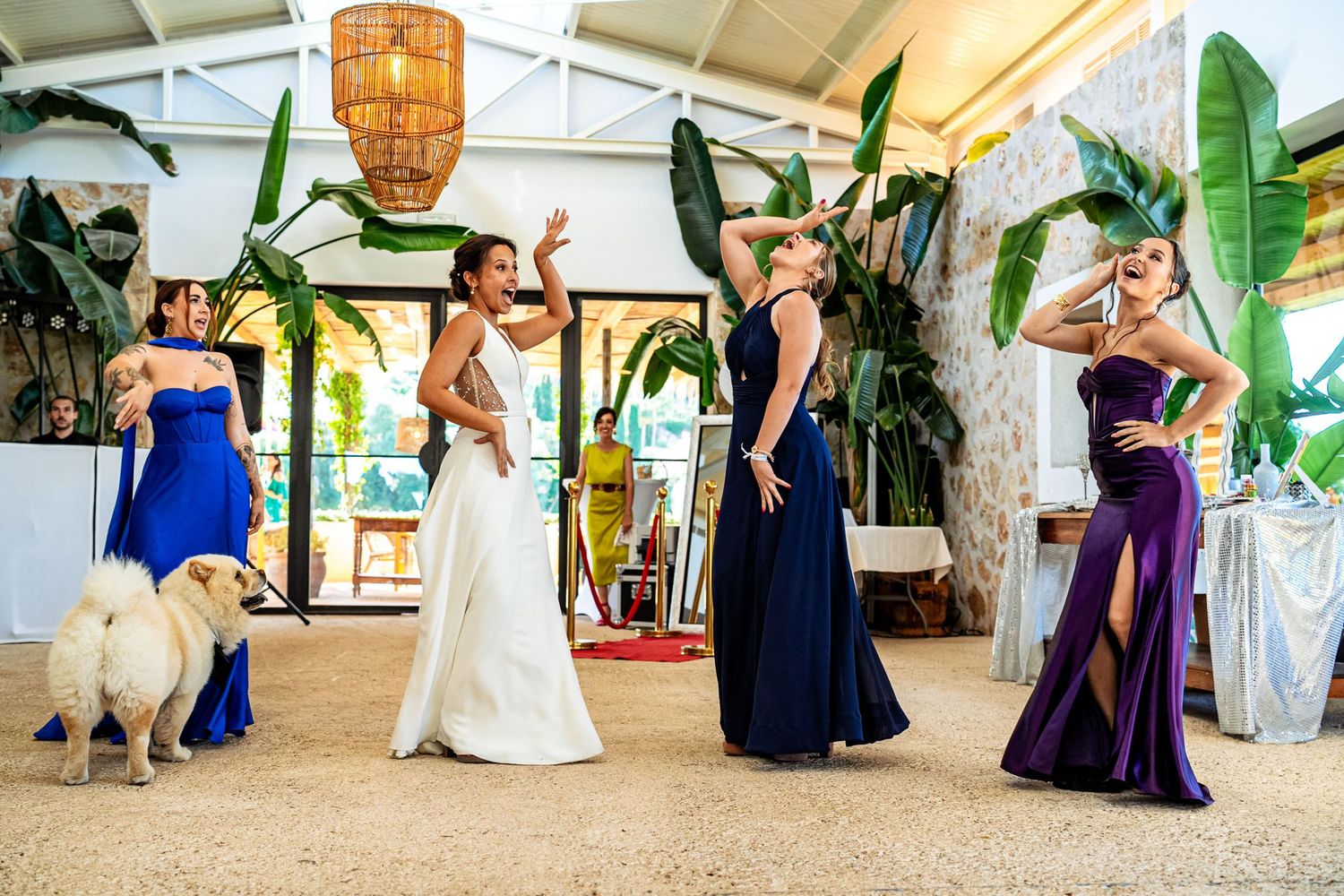 Bride dances joyfully with bridesmaids in colorful gowns beside a white dog at the wedding venue.