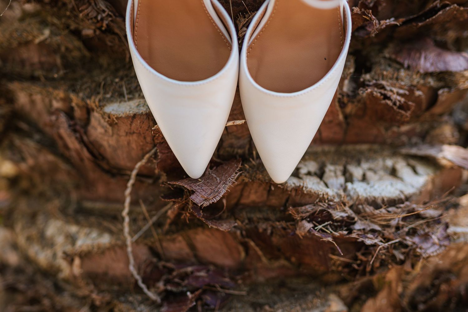 White pointed-toe bridal heels resting on rustic bark and autumn leaves.