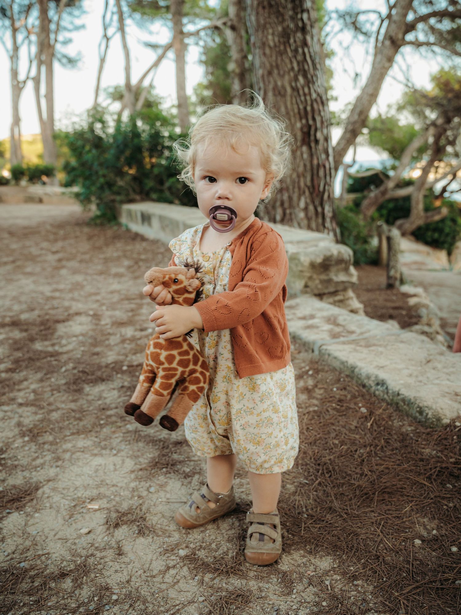 Adorable toddler with pacifier hugging a giraffe stuffed animal toy outdoors in a park setting.
