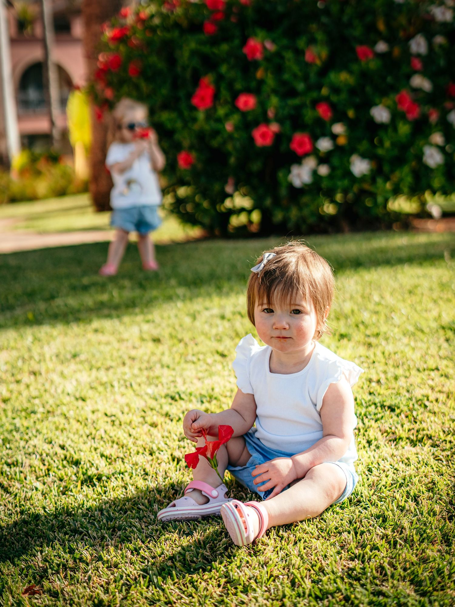 Two toddler girls play outdoors on green grass with vibrant red flowering bushes in the sunny background.