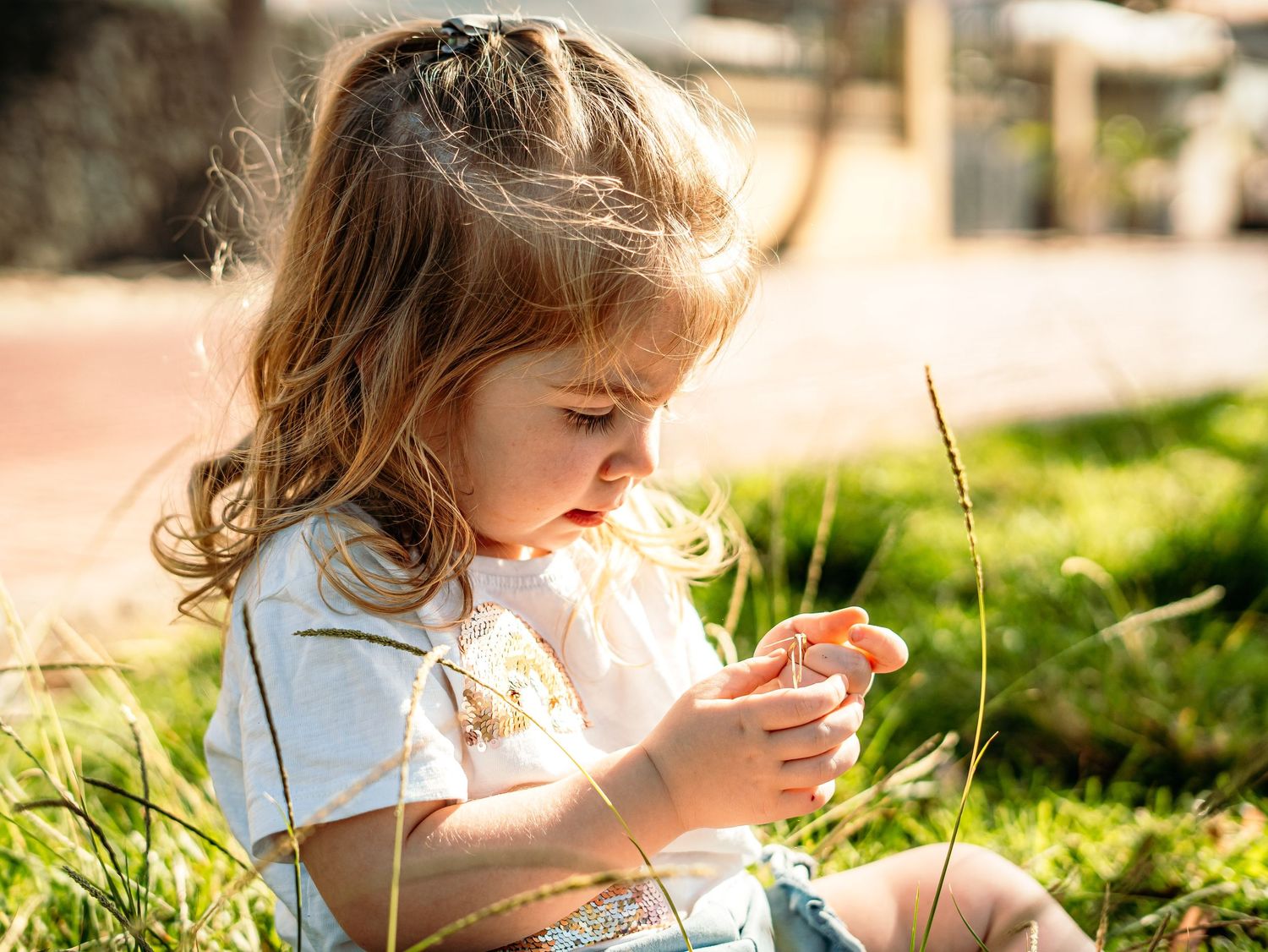 Young blonde girl sitting in sunny grass closely examining a tall grass stem outdoors.