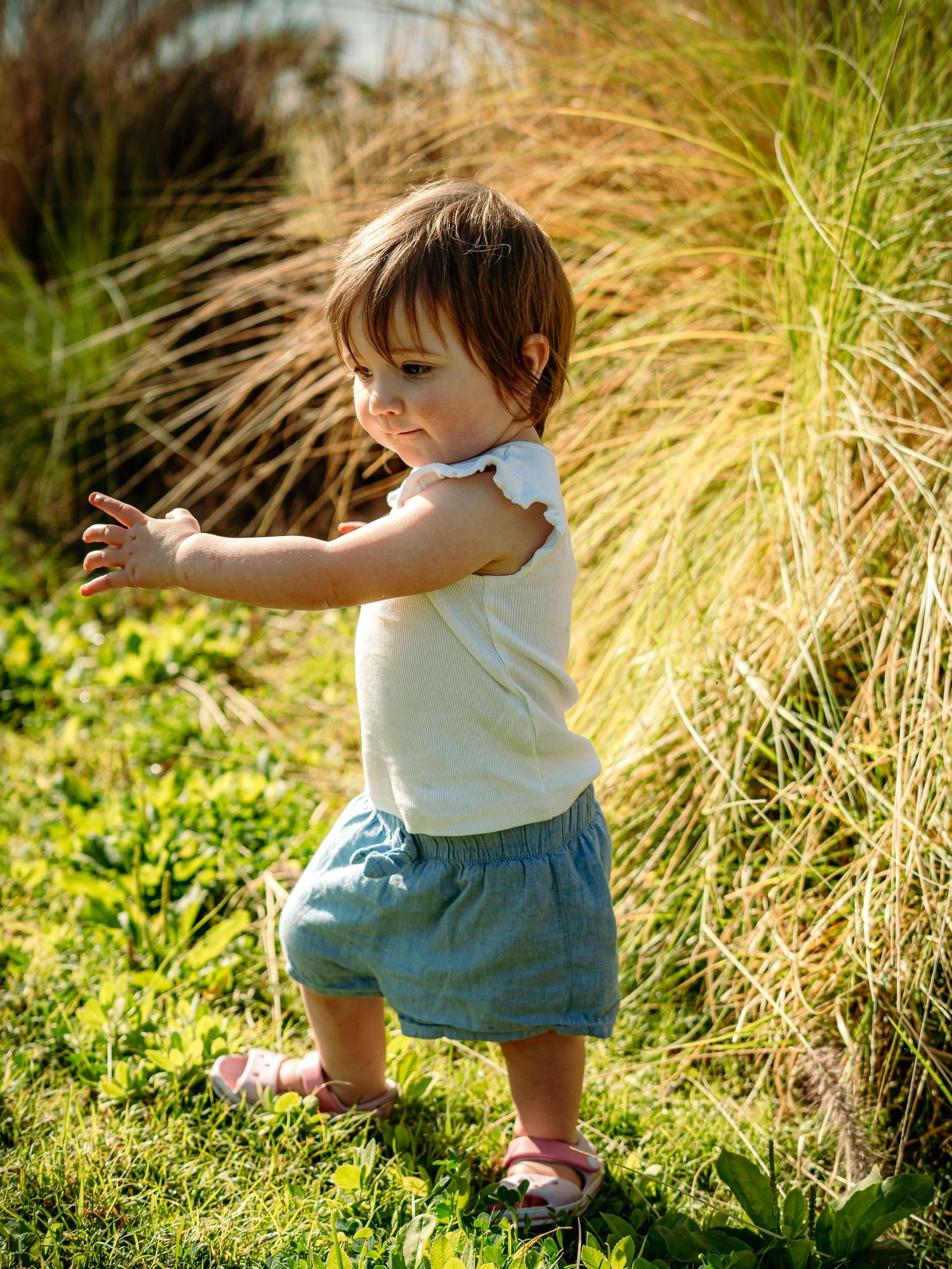 An adorable toddler in a white top and blue shorts stands on grass reaching out her arms.