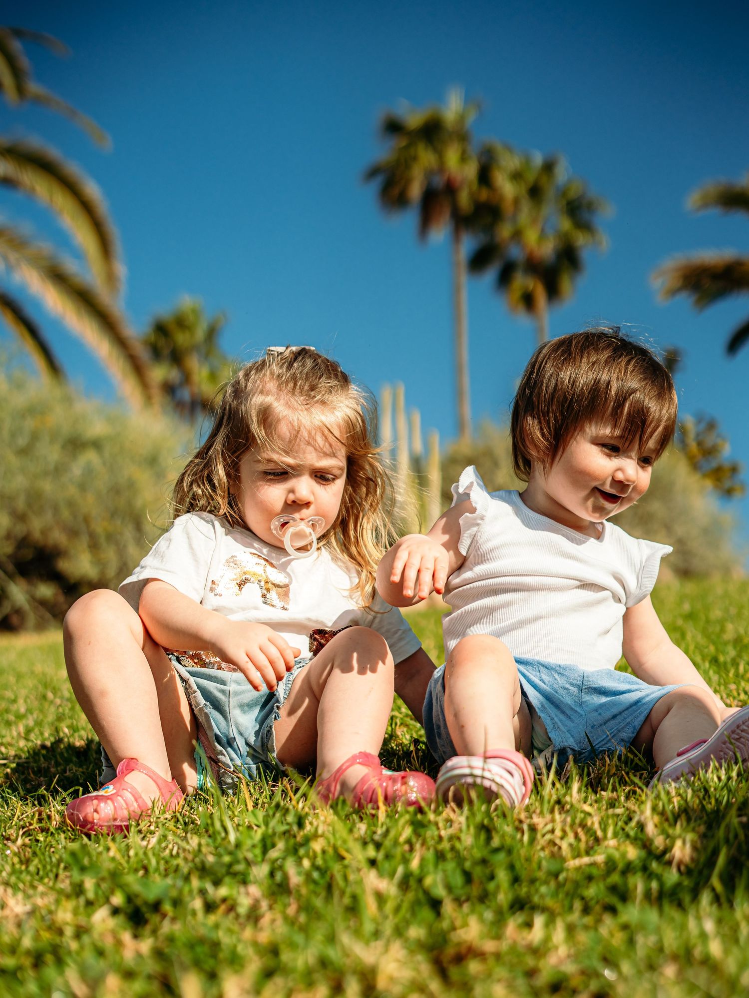 Two young toddlers sitting together on green grass with palm trees and blue sky behind them.
