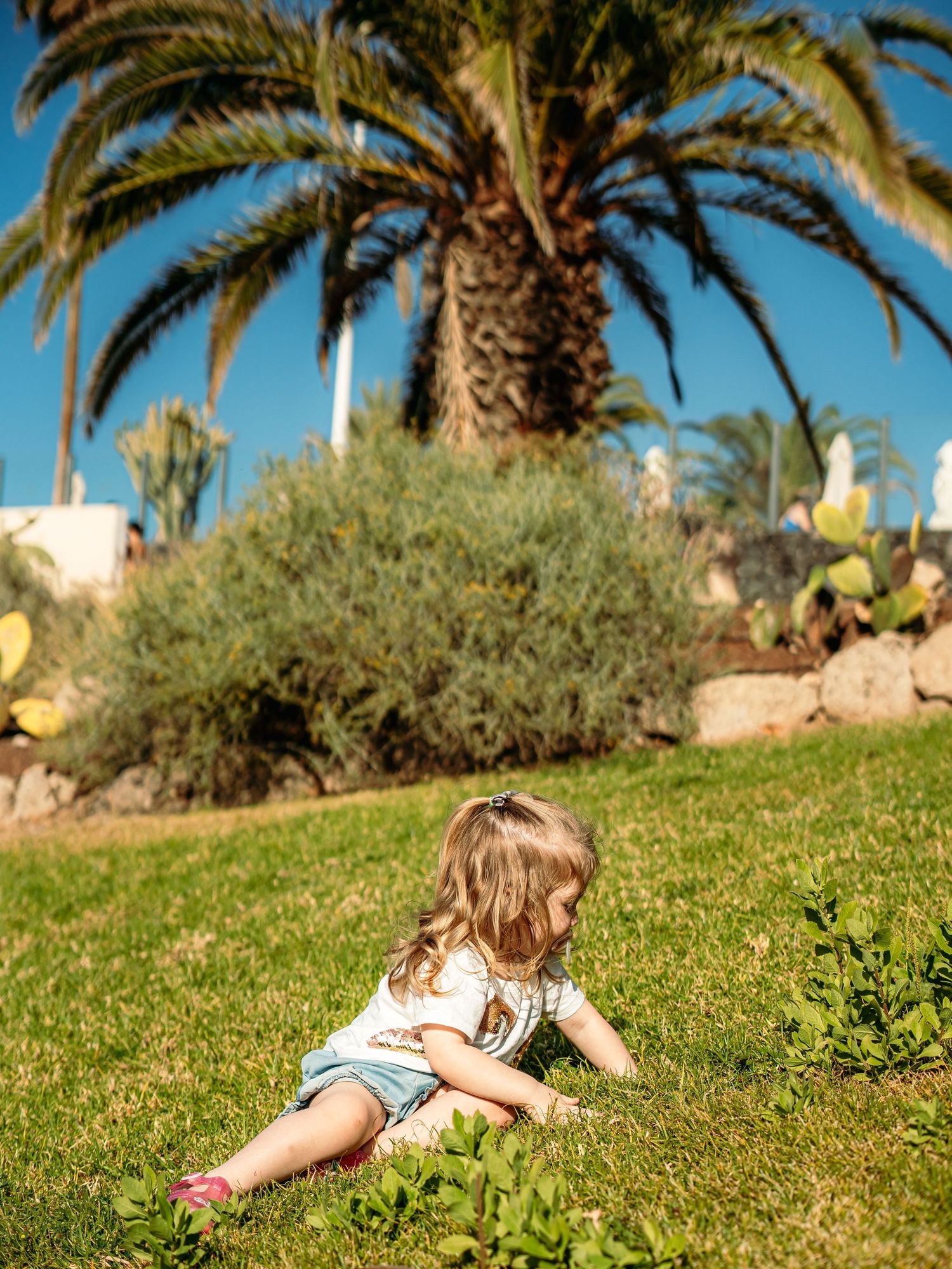 Young toddler girl playing on green grass slope near palm trees and tropical garden.