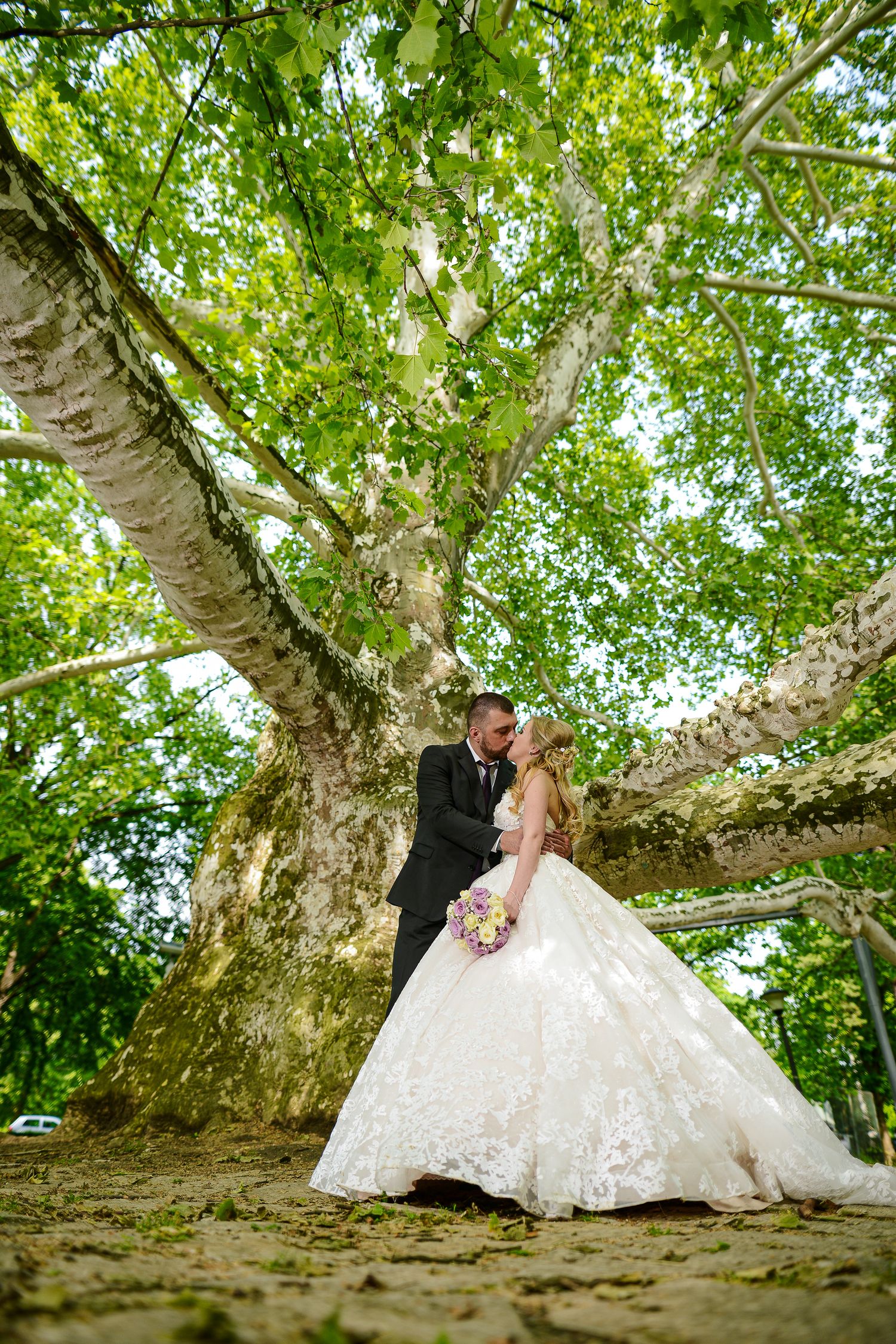 Bride and groom share a kiss beneath a large sprawling tree in a lush outdoor setting.