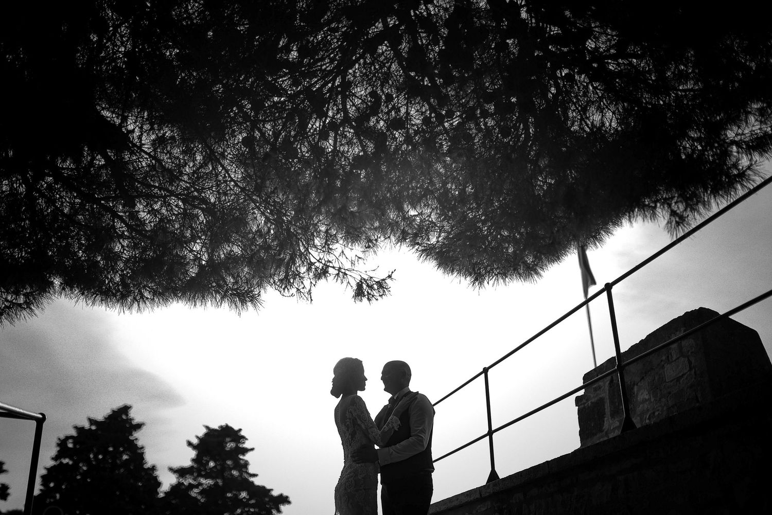 Silhouette of bride and groom facing each other under tree branches in black and white.