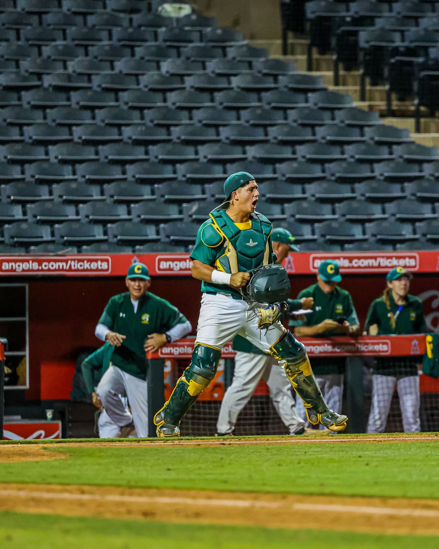 Baseball catcher in green uniform looks up during night game at Angels stadium.