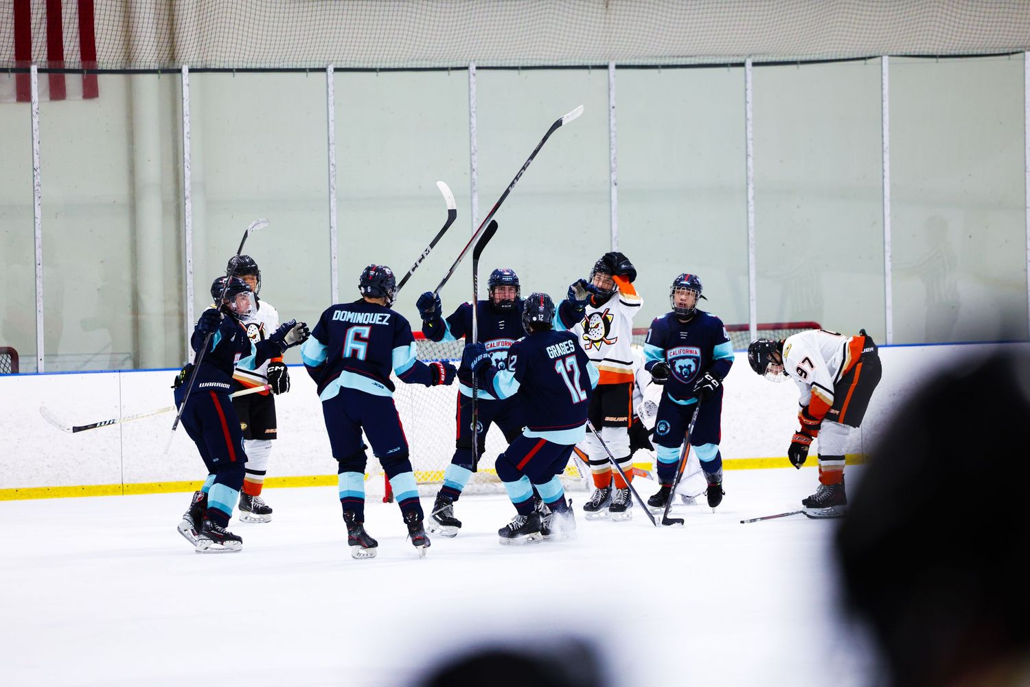 Ice hockey team in teal uniforms celebrates a goal together on the ice during a game.