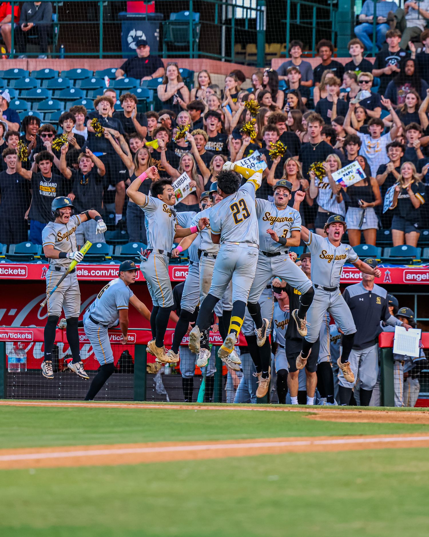 Saguaro baseball team celebrates wildly in front of cheering crowd after winning game.