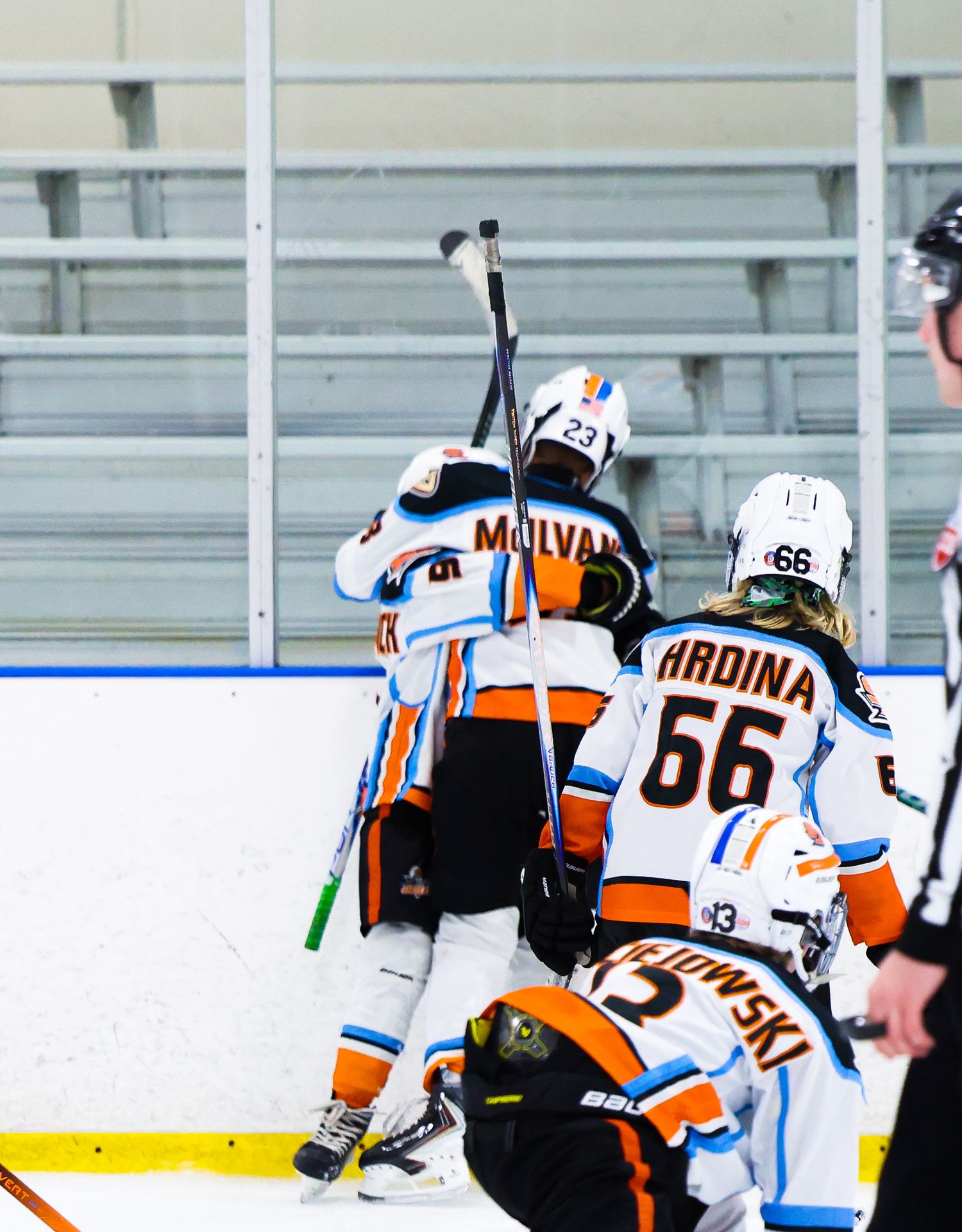 Hockey players celebrate on ice, raising sticks after a goal, wearing white and orange jerseys with numbers 23 and 66.