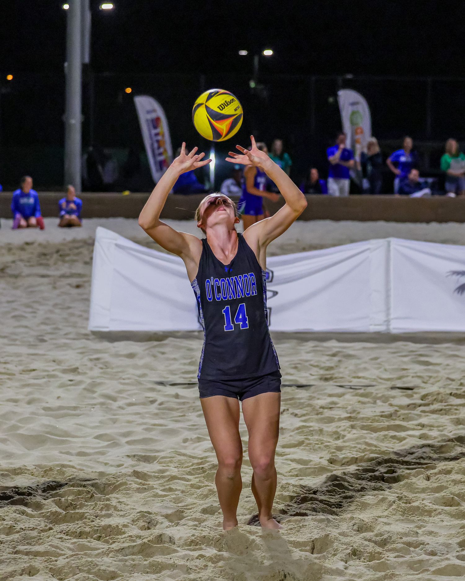 Female beach volleyball player in navy number 14 jersey setting the ball during a night tournament.