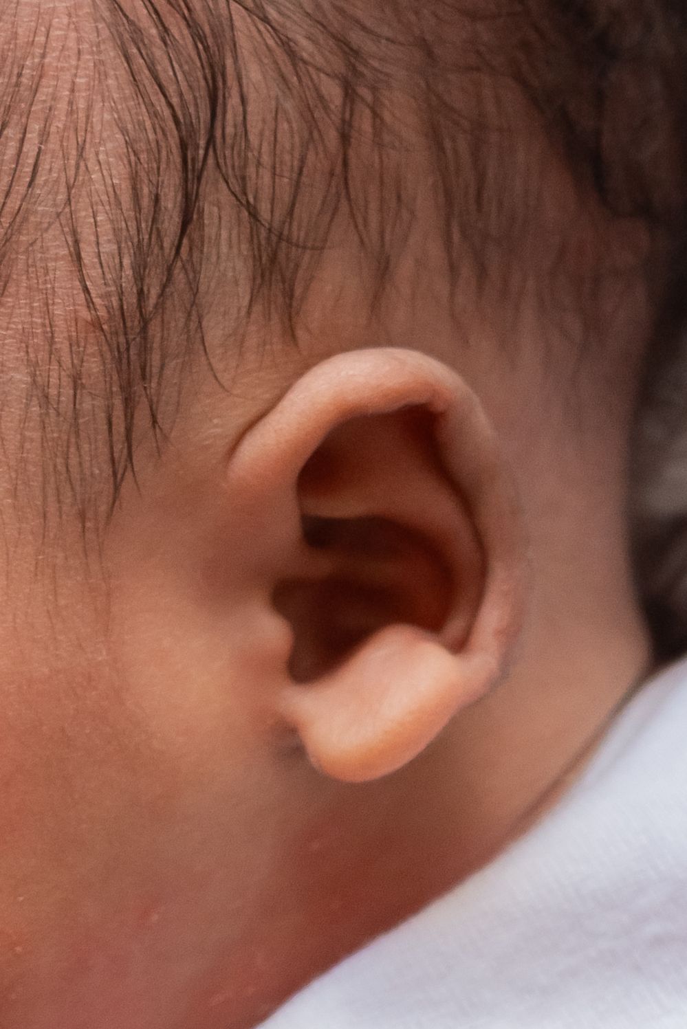 close up detail micro shot of newborn ear by professional photographer in henderson tx