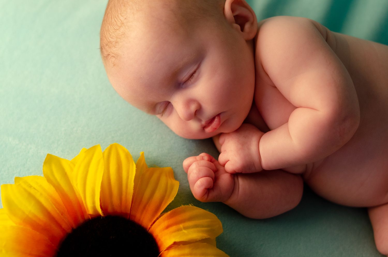 baby girl with yellow sunflower in tyler texas newborn photography studio