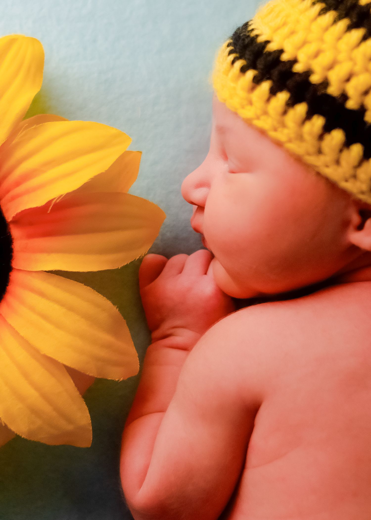 Sunflower in Henderson newborn photography studio with baby girl in matching prop hat black and yellow