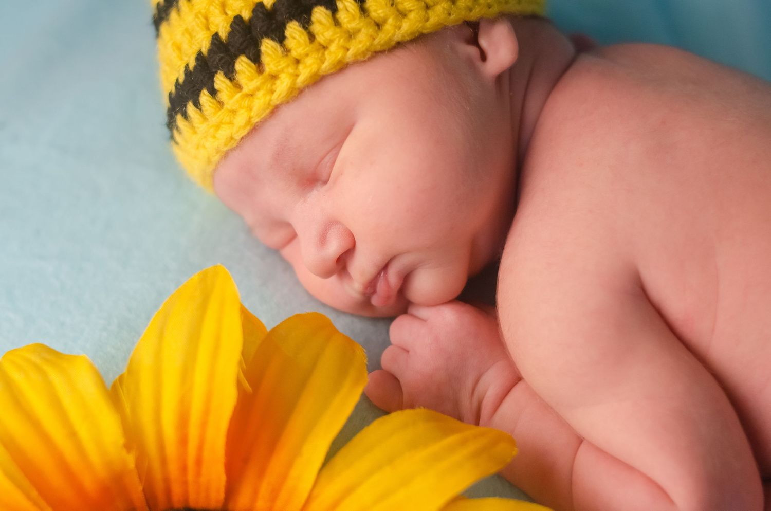 baby girl with black and yellow prop hat in east texas newborn photography studio with sunflower