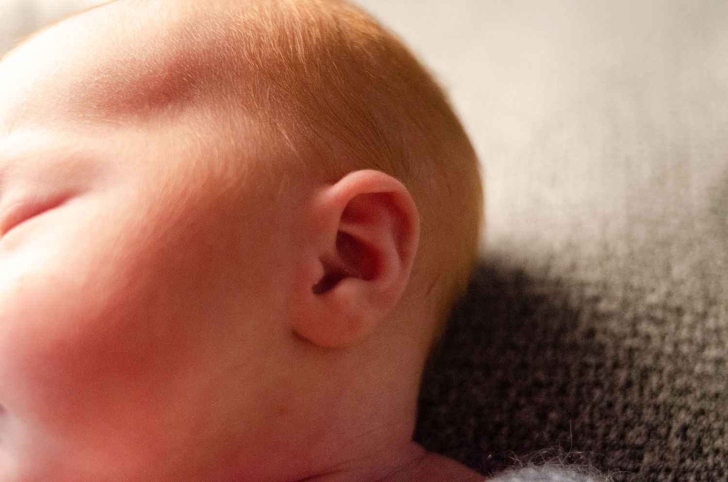 close up detail micro shot of newborn ear by professional photographer in East Texas