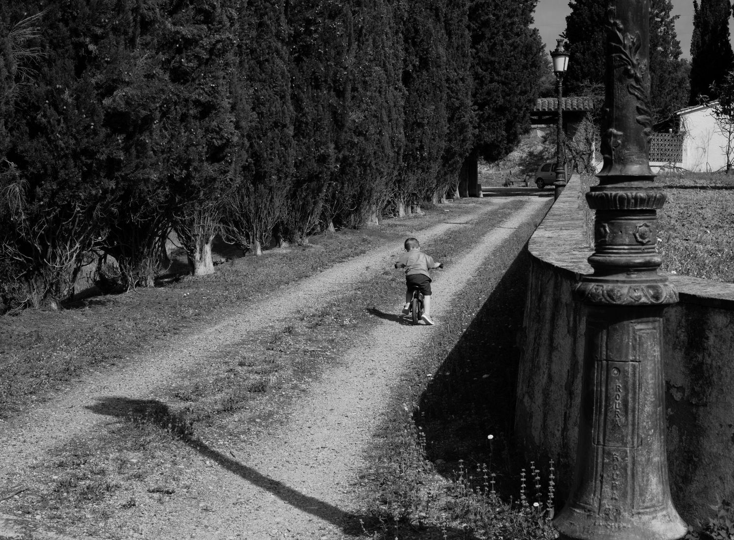 Little boy in a road