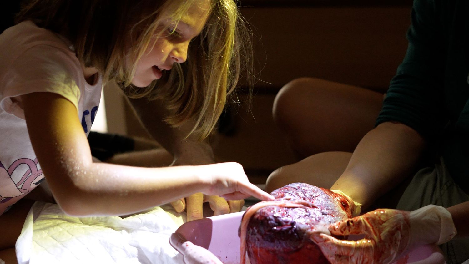 Child touching a placenta