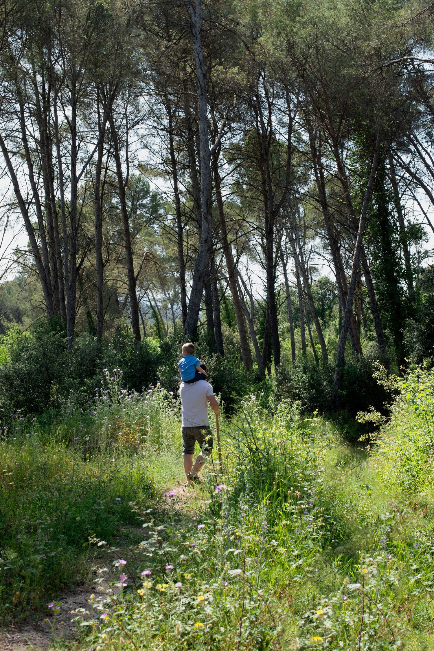 Little boy and his dad in the woods