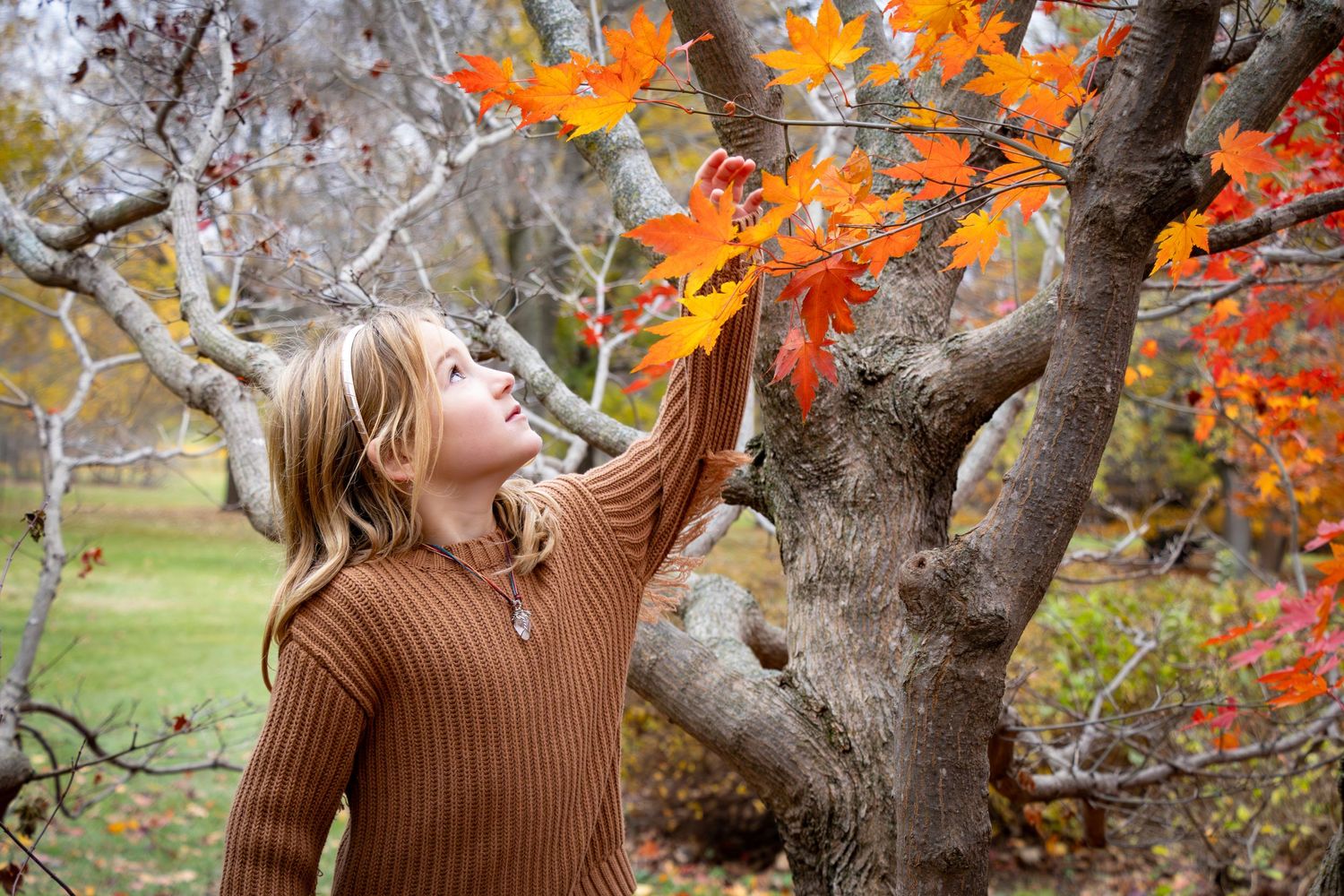 Young girl interested in autumn leaves on the tree