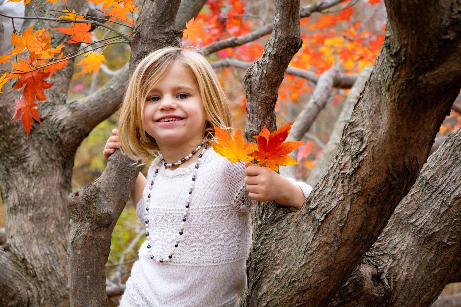 Smiling young girl climbing a tree with bright orange and yellow autumn leaves in her hand